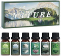 SALUBRITO Nature Fragrance Oils Set, Essential Oils Set by Salubrito