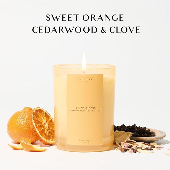 Orange, Cedarwood & Clove Scented Candle | 11oz, 60 Hour Burn | Natural Soy Wax - Image 2