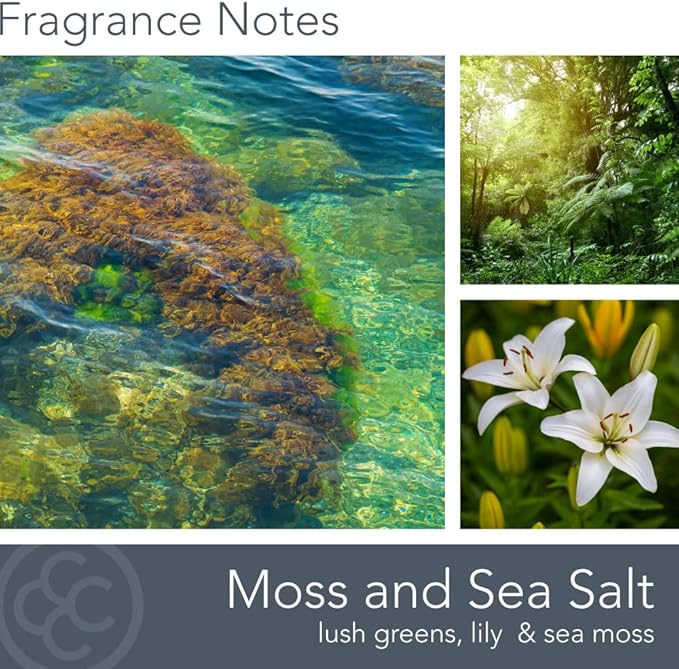 Carolina Moss & Sea Salt Scented Candle, 16 oz Wellness Relaxing Aromatherapy - Image 2