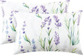EXQ Home Satin Pillowcase for Hair and Skin Queen by EXQHomeTexitleCoLtd