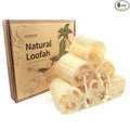 6Pack Luffa Sponges Gentle Exfoliating Body Scrubber by TIDIHUO
