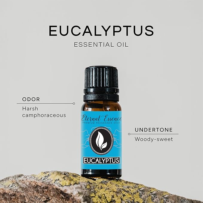 Eucalyptus Premium Grade Fragrance Oil - 10ml - Scented Oil - Image 2