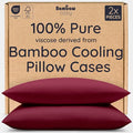 Bambaw 100% Viscose Derived from Bamboo Pillow Cases Queen Size Set of 2 by Bambaw