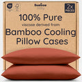 Bambaw 100% Viscose Derived from Bamboo Pillowcases Standard Size – Set of 2 by Bambaw