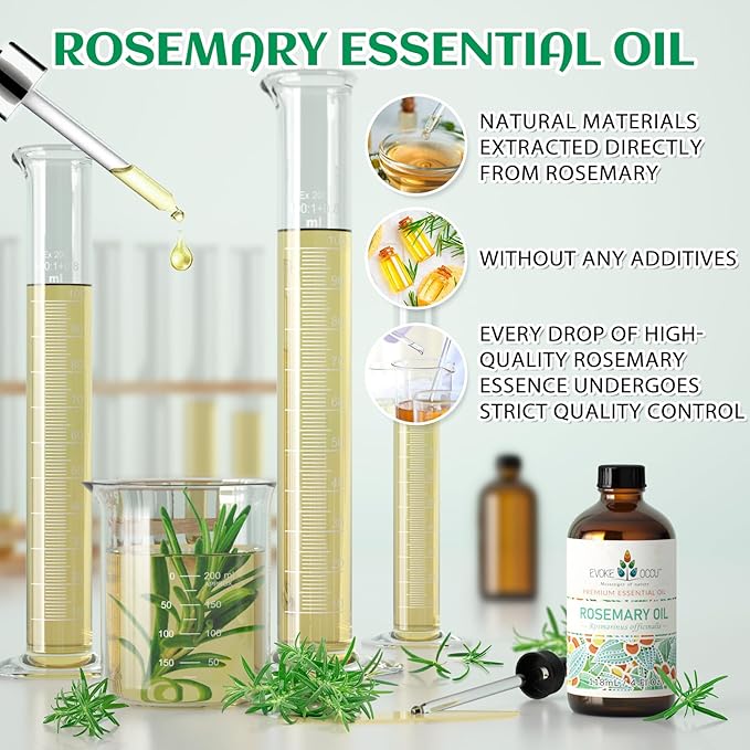 EVOKE OCCU Rosemary Oil for Hair Growth, Nourishing Scalp, Relieving Hair Loss - Image 2