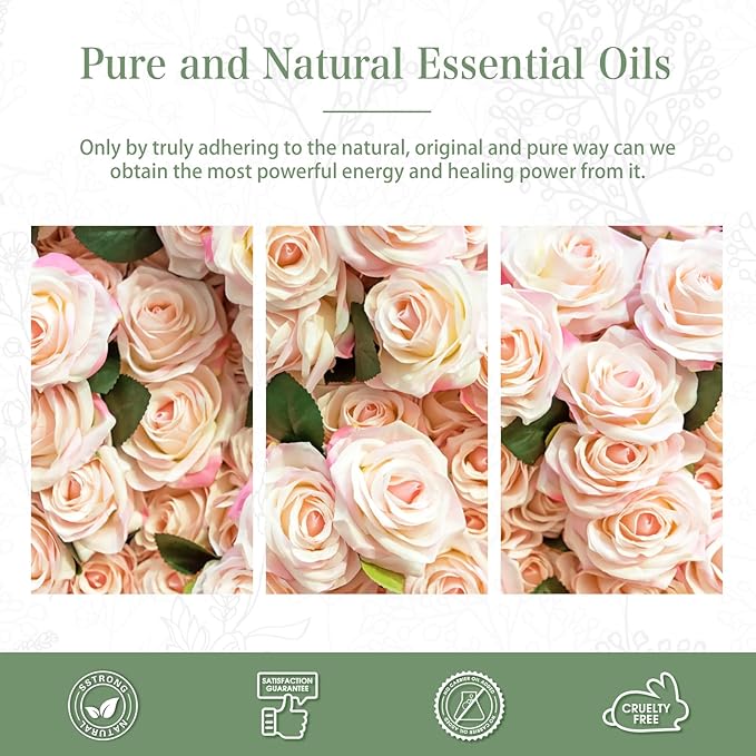 Rose Essential Oil, 1.01Fl.Oz PHATOIL Pure Essential Oil Singles - Image 5