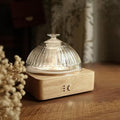 Glass Dome Essential Oil Diffuser by Levoair