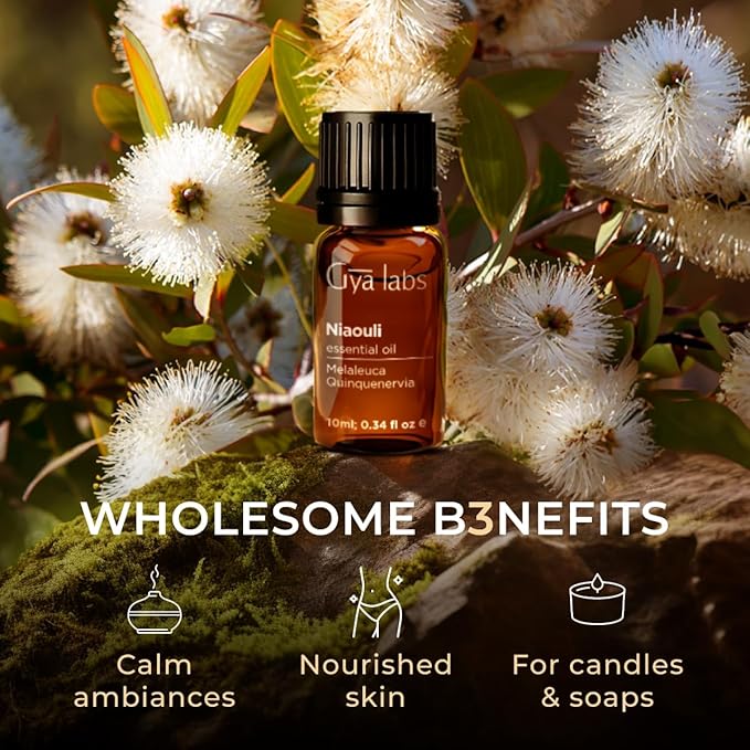 100% Pure Niaouli Essential Oil - Image 5