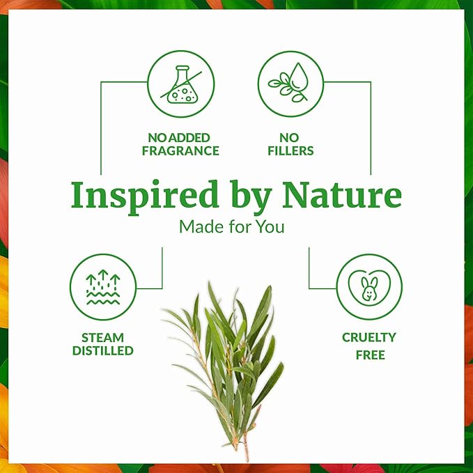 SVA Tea Tree Essential Oil Organic – 2 Fl Oz – 100% Natural Organic Tea Tree Oil - Image 3