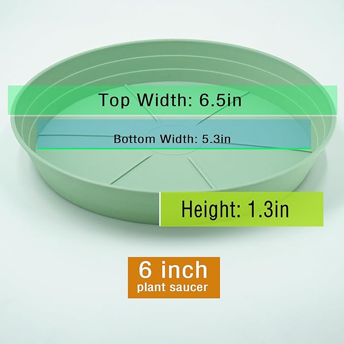 LWALRS Plant Saucer 6 Inch 4 Pack 6 8 10 12 14 16 18 20 25, Plastic Plant Trays - Image 2