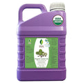 SVA Castor Seed Oil Organic by SVAORGANICS