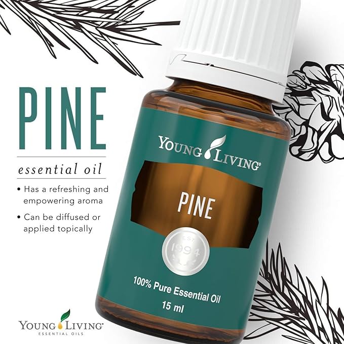 Young Living Pine Essential Oil | 15 ml | Fresh, Woodsy Aroma - Image 5
