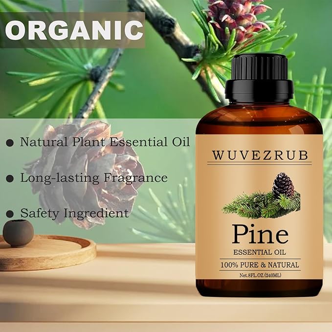 Pine Essential Oils, 240ML Pure and Natural Essential Oil - Image 2