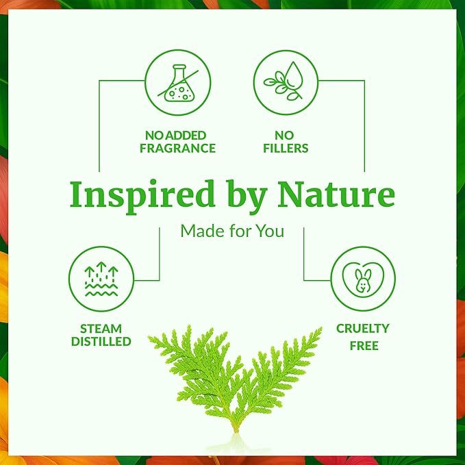 SVA Thuja Essential Oil – 1 Fl Oz – 100% Natural Thuja Oil - Image 3