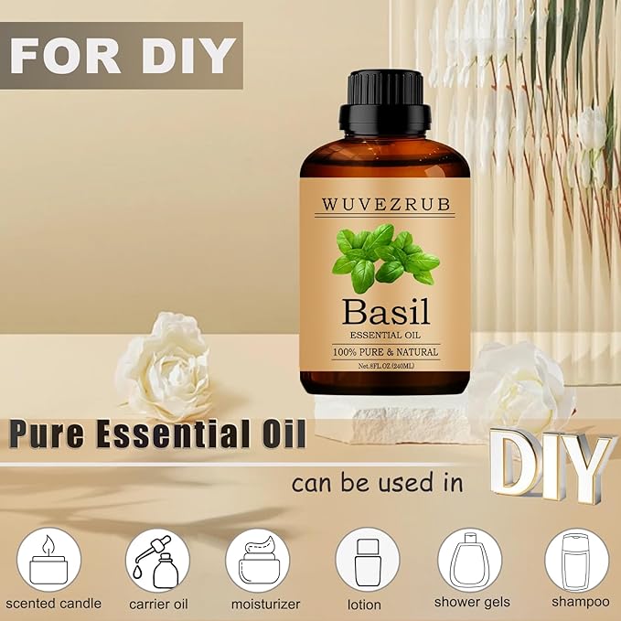 Basil Essential Oil, 240ML Pure and Natural - Image 3