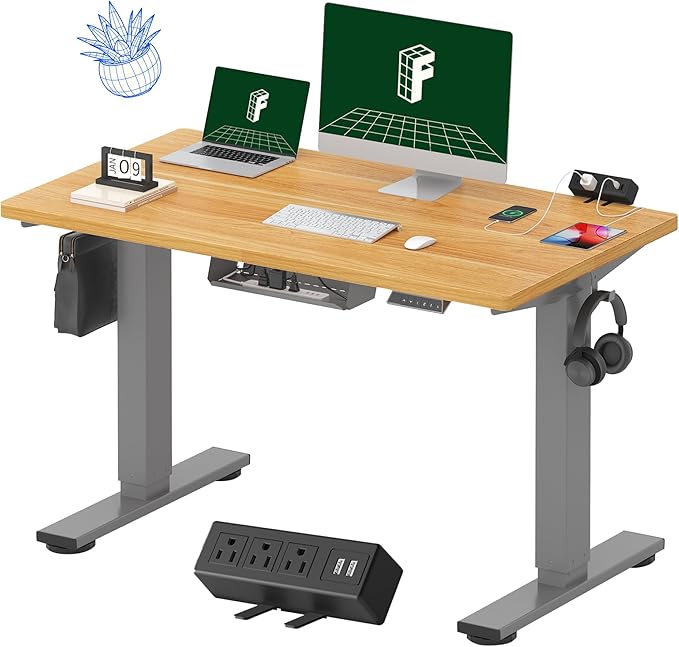 FLEXISPOT EN2 Whole-Piece Standing Desk with Clamp Power Strip, 48 x 24'' Electric Stand Up Height Adjustable Desk with Cable Management (Gray Frame + 48" Maple Desktop, 2 Packages)