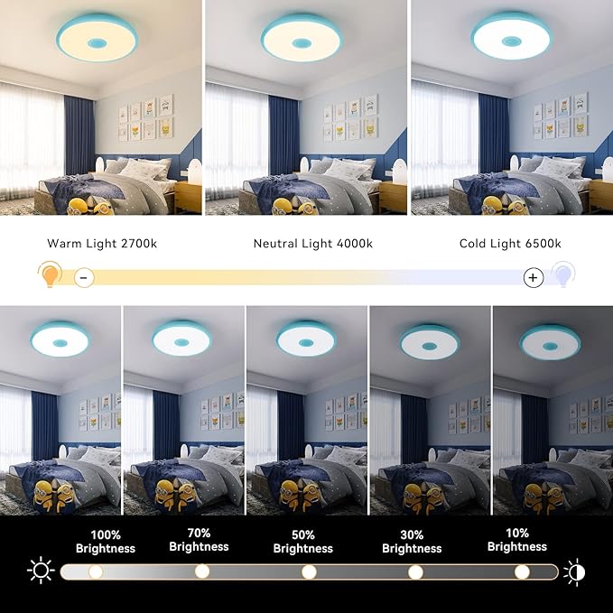 Sky Blue Waterproof LED Ceiling Light Fixture, Music Ceiling Lamp, - Image 4