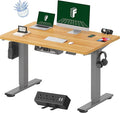 FLEXISPOT EN2 Whole-Piece Standing Desk with Clamp Power Strip, 48 x 30 Electric Stand Up Height Adjustable Desk with Cable Management (Gray Frame + 48" Maple Top, 2 Packages)