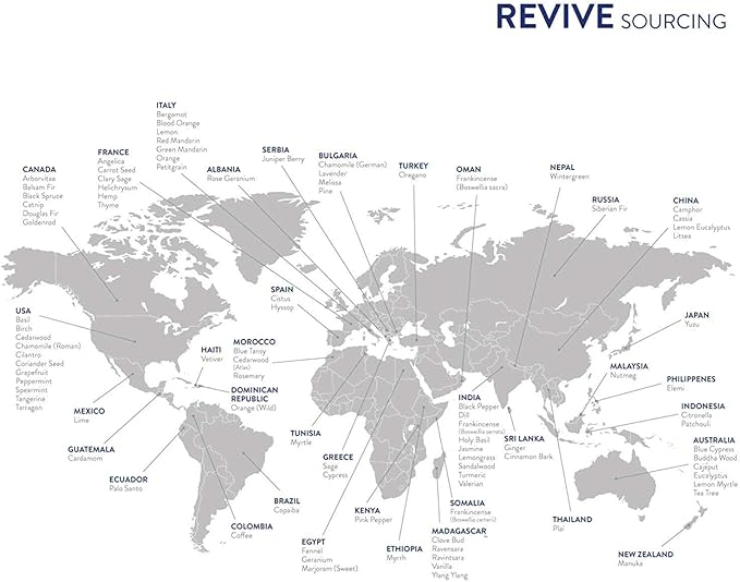 Aromatherapy Kits by Revive Essential Oils - Image 8