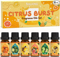 SALKING Citrus Burst Essential Oil Set, Premium Fragrance Oil by SALKING