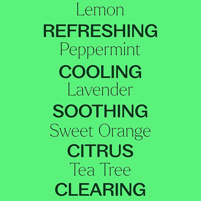 Plant Therapy Top 14 Essential Oil Set, 10 mL Bottles of Lavender, Eucalyptus - Image 3
