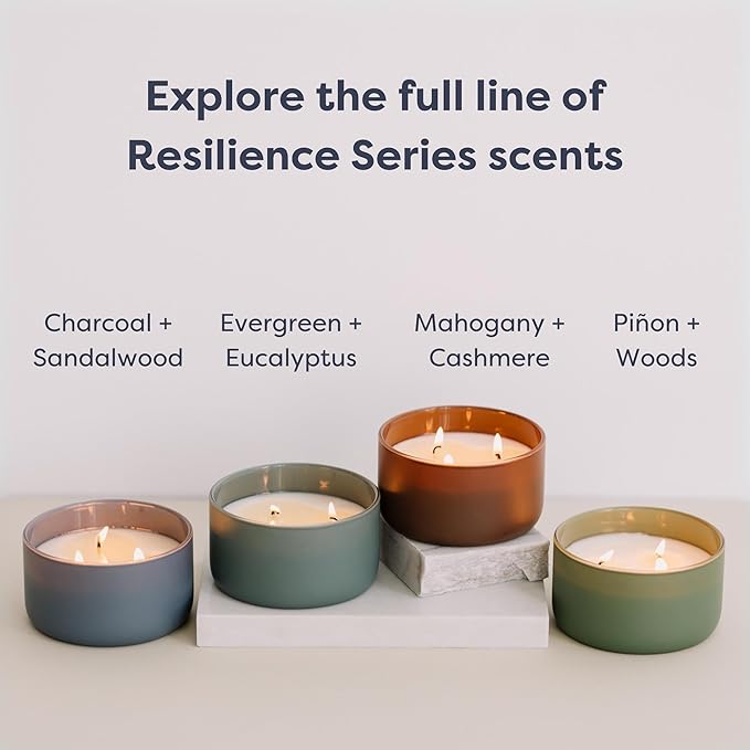 Calyan Wax Co. Piñon & Woods 3 Wick Scented Candle - Image 8