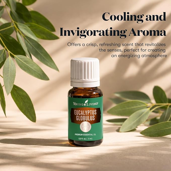 Young Living Eucalyptus Globulus Essential Oil | Cooling, Refreshing Aroma - Image 2
