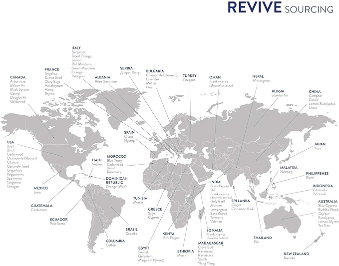 Eucalyptus Essential Oil 30mL by Revive Essential Oils - Image 7