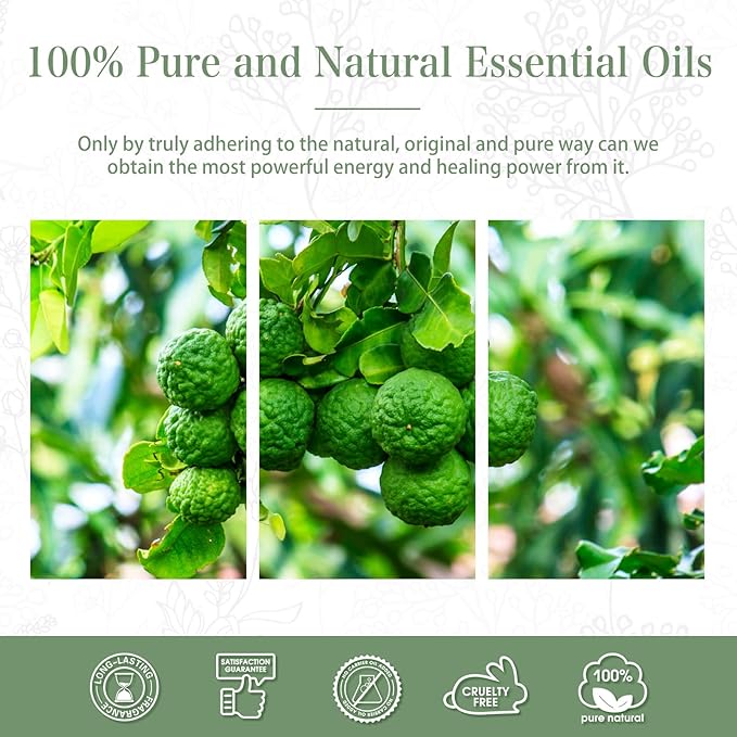 PHATOIL 3.38FL.OZ Bergamot Essential Oil, - Image 6