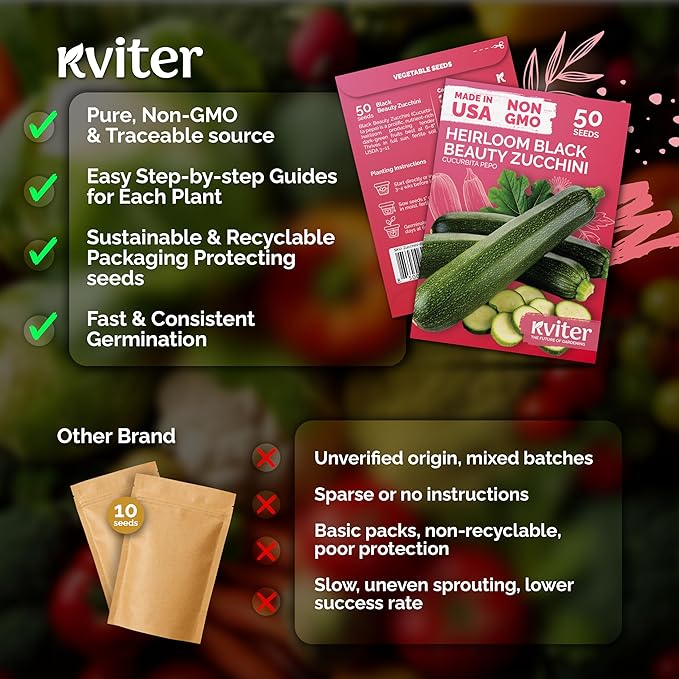 KVITER 50 Black Beauty Zucchini Seeds - Image 5