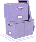 2 Pack File Storage Organizer, Filing Box, Portable File Box with Lid, Fit for Letter/Legal File Folder Storage, Document Organizer, Lavender