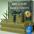 DECOLURE 100% Viscose Derived from Bamboo Sheets Queen Size by DECOLURE
