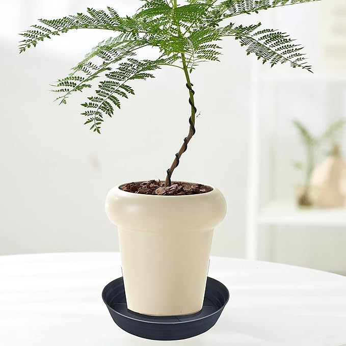 LWALRS Plant Saucer 16 Inch 2 Pack 10 12 14 16 18 20 25, Plastic Plant Trays - Image 4
