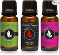 Trio - Monkey Farts, Dragons Blood & Mermaid - Premium Fragrance Oil Trio - 10ml by EternalEssenceOils