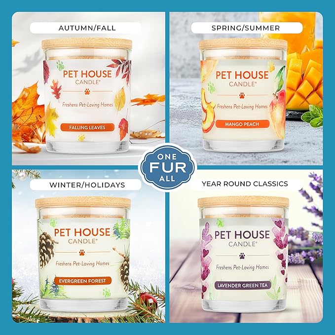 One Fur All Pet House Candle Plant-Based/Soy - Image 4