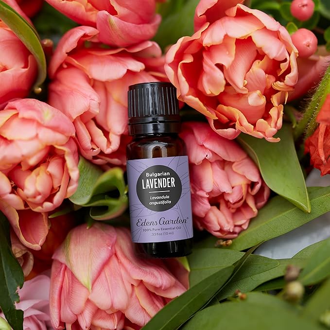 Edens Garden Lavender- Bulgarian Essential Oil- 100% Pure Premium Grade - Image 2