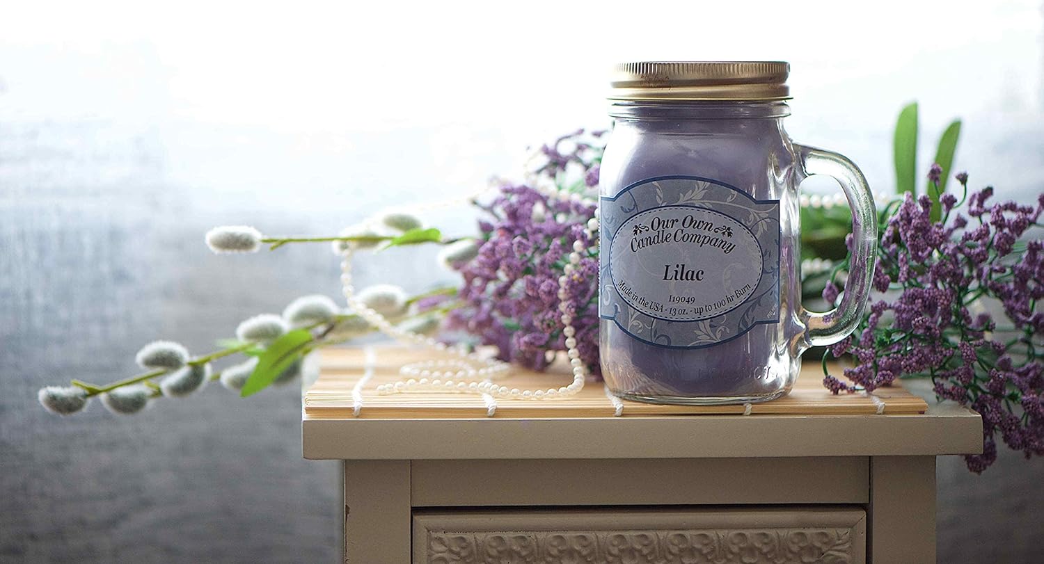 Our Own Candle Company Premium Wax Melt, Hot Buns, 6 Cubes, 2.4 oz (4 Pack)