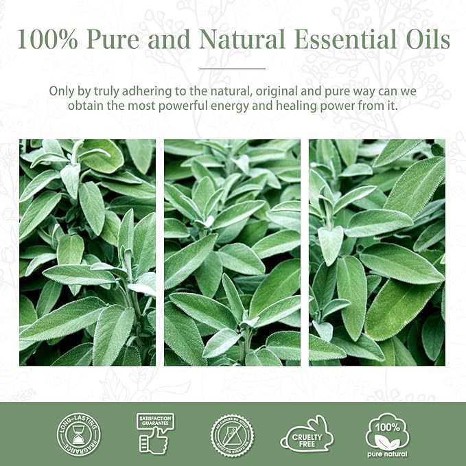 PHATOIL 3.38FL.OZ Clary Sage Essential Oil - Image 6