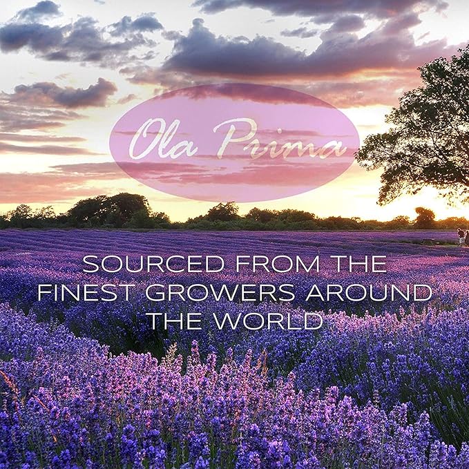 Ola Prima Oils Vanilla Essential Oil 4 oz - Image 3