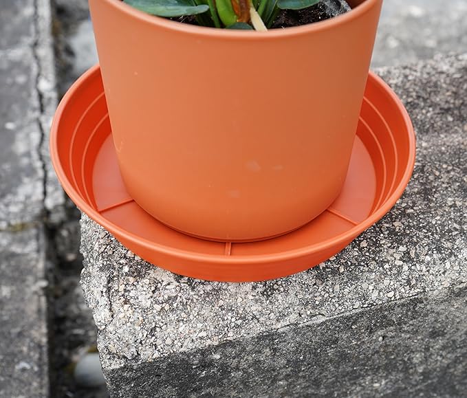 Plant Saucer 6 Inch 4 Pack 6 8 10 12 14 16 18 20 25, Plastic Plant Trays - Image 4