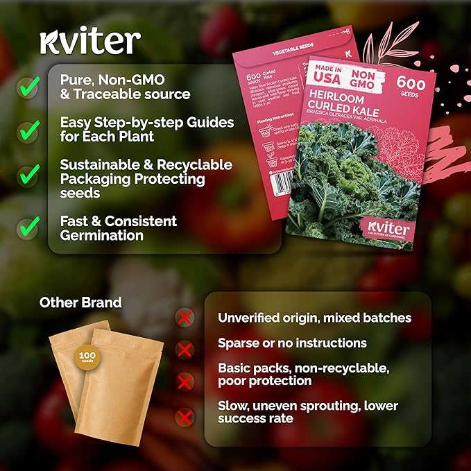 KVITER 600 Vates Blue Scotch Curly Kale Seeds – Curled Green Kale Seed Packets - Image 5