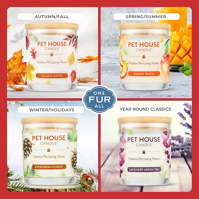 Pet House Scented Candles, Plant Based Pet Candle, Clean Burning, Long Lasting - Image 4