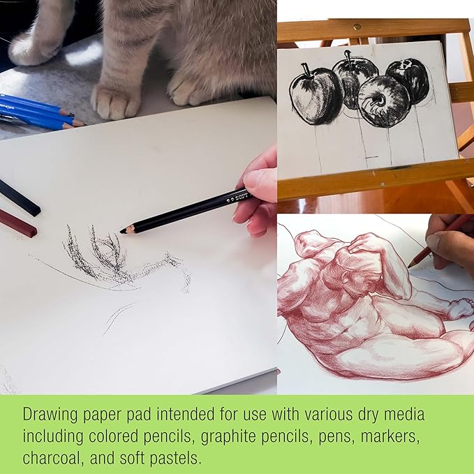 U.S. Art Supply 9" x 12" Premium Drawing Pad, Pack of 2 (50 Sheets Each), 60 lb (100 GSM) - Artist Sketch Book, Mixed Media Paper, Sketchbook for Drawing, Colored Pencils, Charcoal - Adults, Students