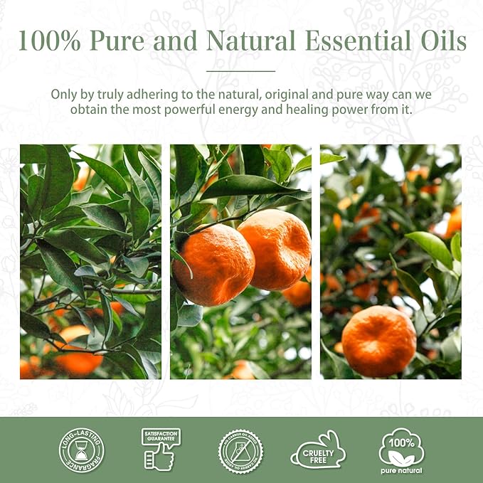 Tangerine 1.01fl.oz Essential Oil, PHATOIL Pure Aromatherapy Oils - Image 7