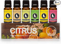 Eternal Essence Oils Citrus Set of 6 Premium Fragrance Oils by EternalEssenceOils