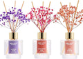 Airkeep Reed Diffuser Set of 3, Lavender Thyme Sandalwood Rose Cherry Blossom by Airkeep