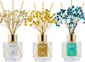 Airkeep Reed Diffuser Set of 3, Clean Cotton White Jasmine White Tea Oil Reed by Airkeep