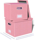 2 Pack File Storage Organizer, Filing Box, Portable File Box with Lid, Fit for Letter/Legal File Folder Storage, document organizer, New-pink