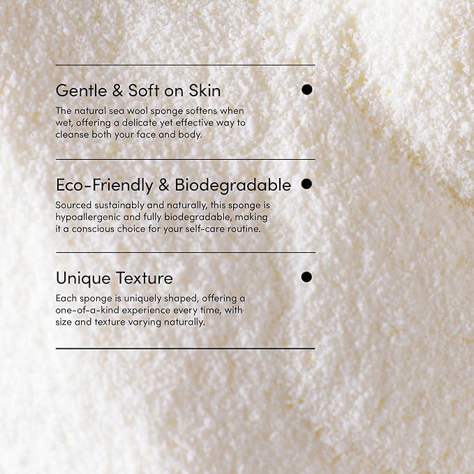 LATHER - Natural Sea Wool Sponge, 5-6" - Organic Exfoliating Body Scrubber - - Image 5