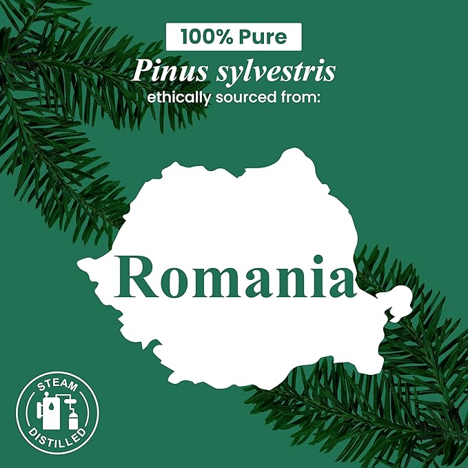 Handcraft Blends Pine Essential Oil – 1 Fl Oz – 100% Pure and Natural – Premium - Image 8